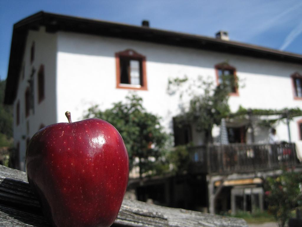 Gruberhof Βίλα San Genesio Atesino Εξωτερικό φωτογραφία